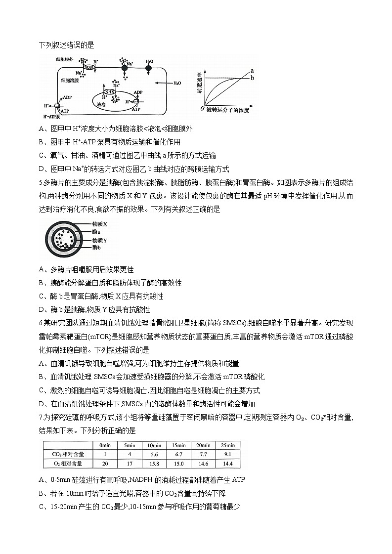 重庆市西南大学附属中学校2025-2026学年高三上学期10月月考生物试卷第2页