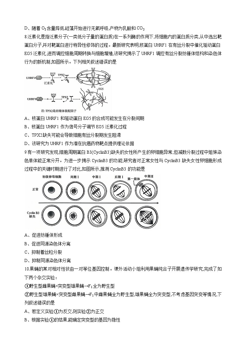 重庆市西南大学附属中学校2025-2026学年高三上学期10月月考生物试卷第3页