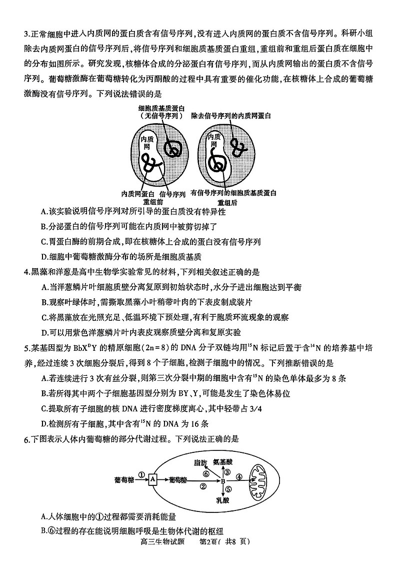 河南省信阳市2025届高三上学期第二次教学质量检测-生物试卷（含答案）第2页