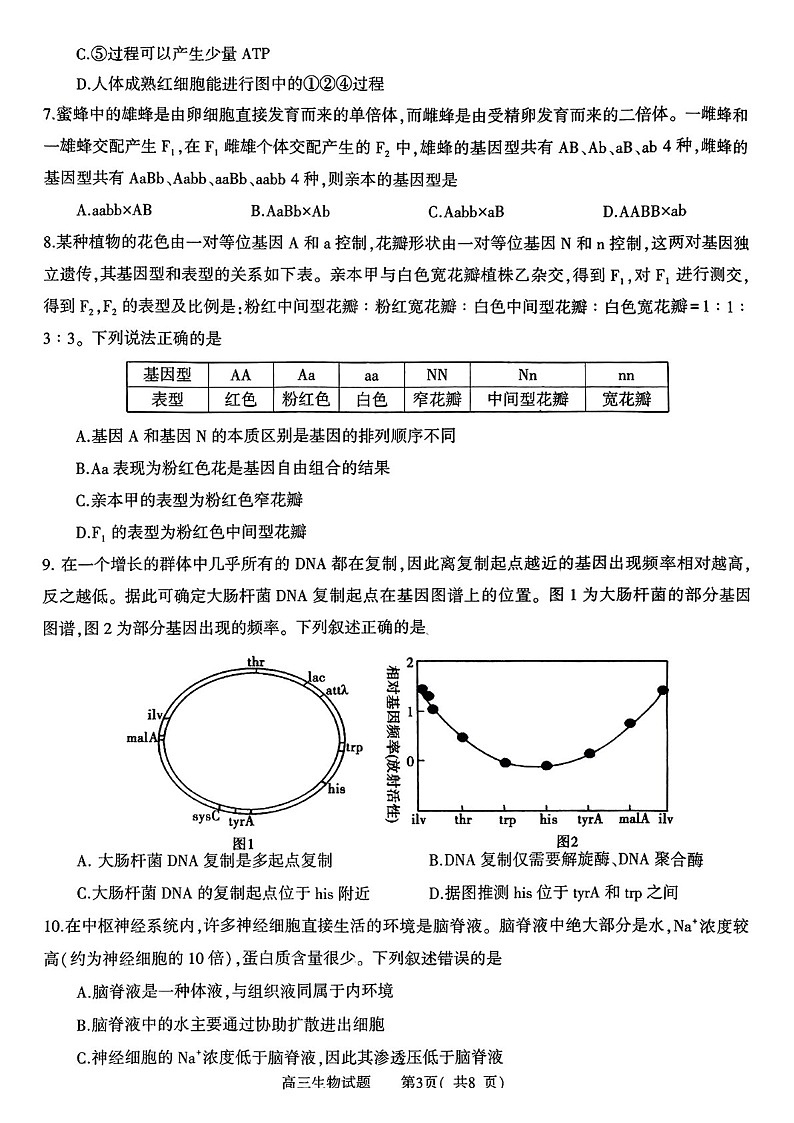 河南省信阳市2025届高三上学期第二次教学质量检测-生物试卷（含答案）第3页