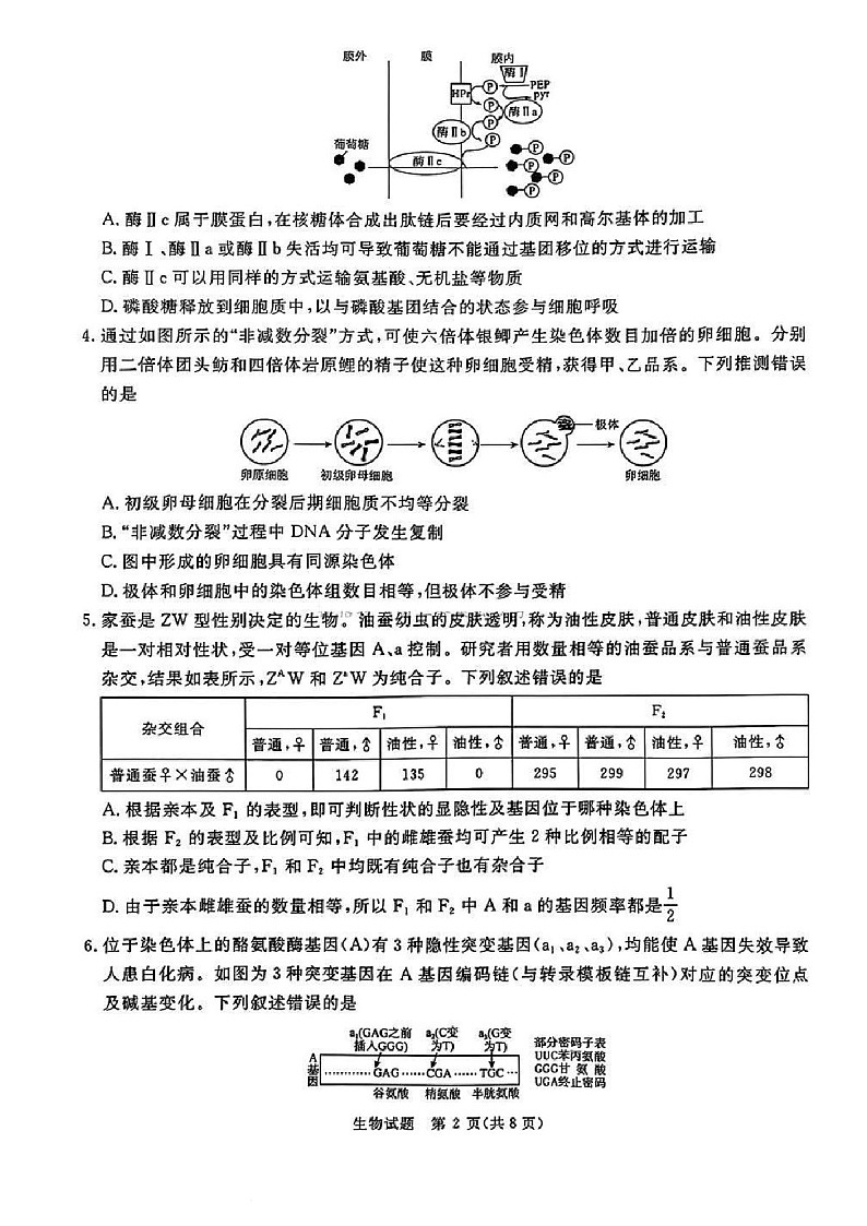 河南省五市2025届高三年级上学期期末考试-生物试卷（含答案）第2页