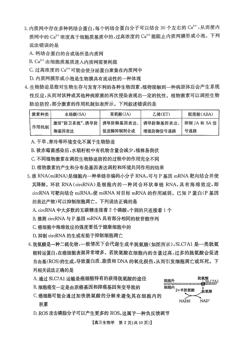 河南省驻马店金太阳2025届高三上学期1月期末联考生物试题（学生版）第2页