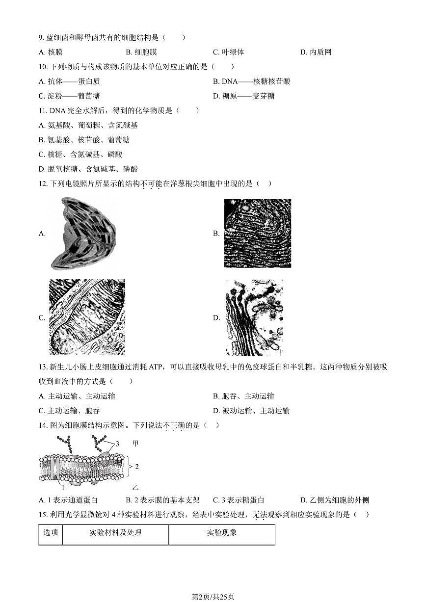 2024北京景山学校高一（上）期中生物试卷 有答案第2页
