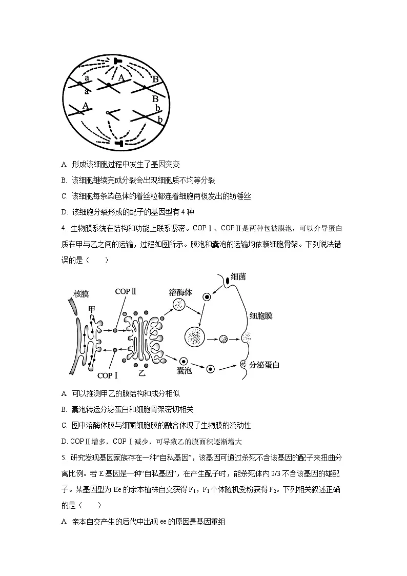 湖北省部分名校2025-2026学年高三上学期9月月考生物试卷（学生版）第2页