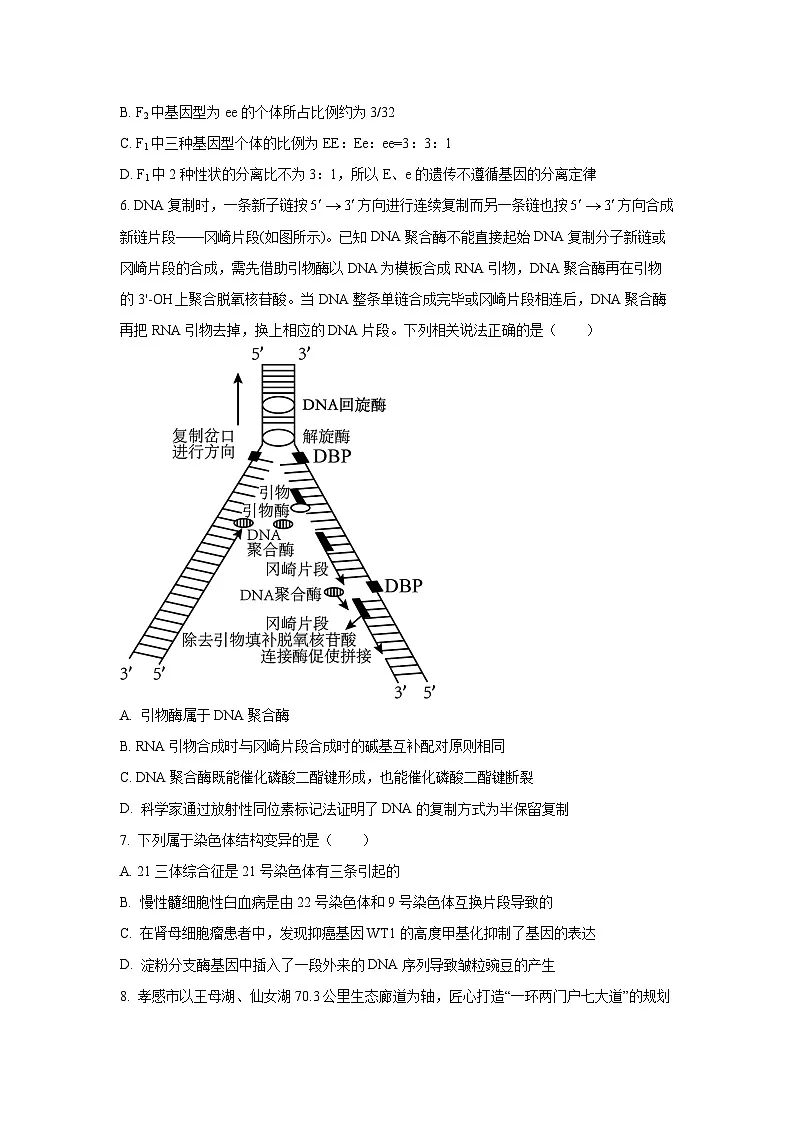 湖北省部分名校2025-2026学年高三上学期9月月考生物试卷（学生版）第3页