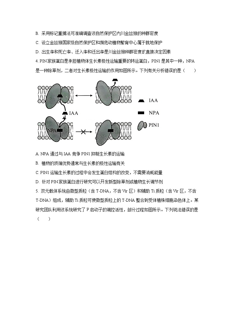湖北省恩施土家族苗族自治州2026届高三上9月考试生物试卷（学生版）第2页