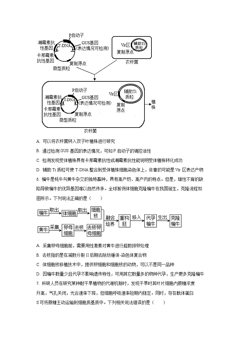湖北省恩施土家族苗族自治州2026届高三上9月考试生物试卷（学生版）第3页