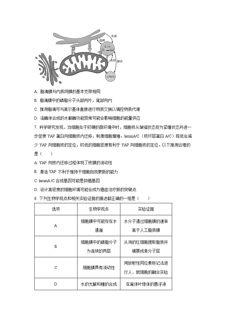 湖北省黄冈市2026届高三上九月调研考试生物试卷（学生版）第3页