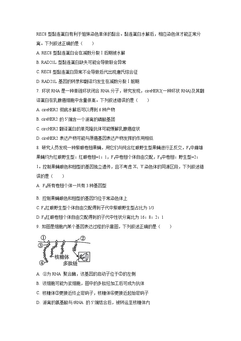 湖北省荆州市2025-2026学年高三上学期9月开学考试生物试卷（学生版）第3页