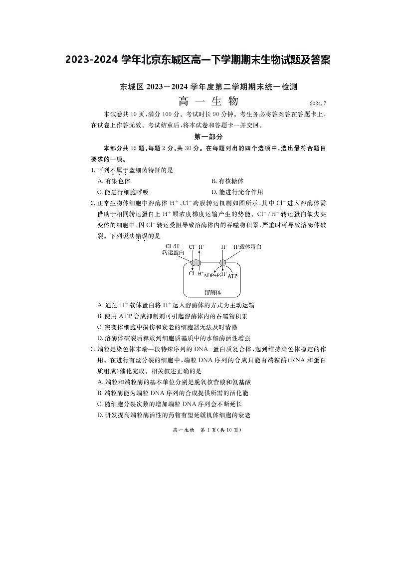 2023-2024学年北京东城区高一下学期期末生物试题及答案第1页