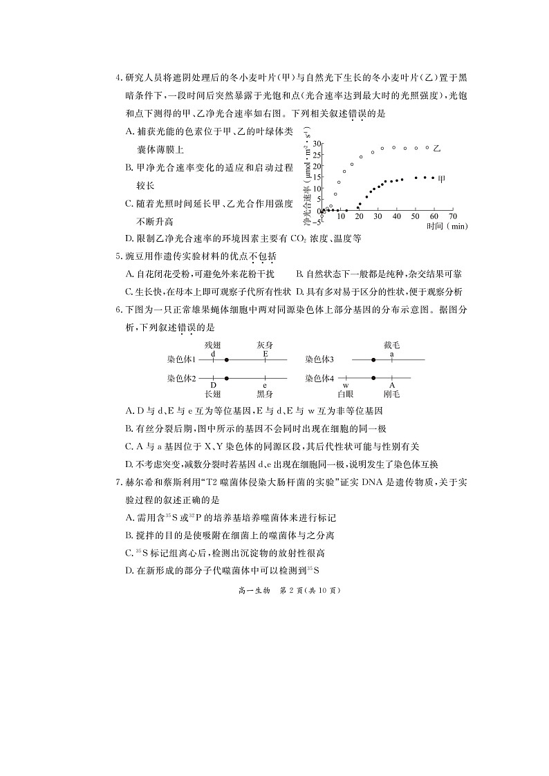 2023-2024学年北京东城区高一下学期期末生物试题及答案第2页
