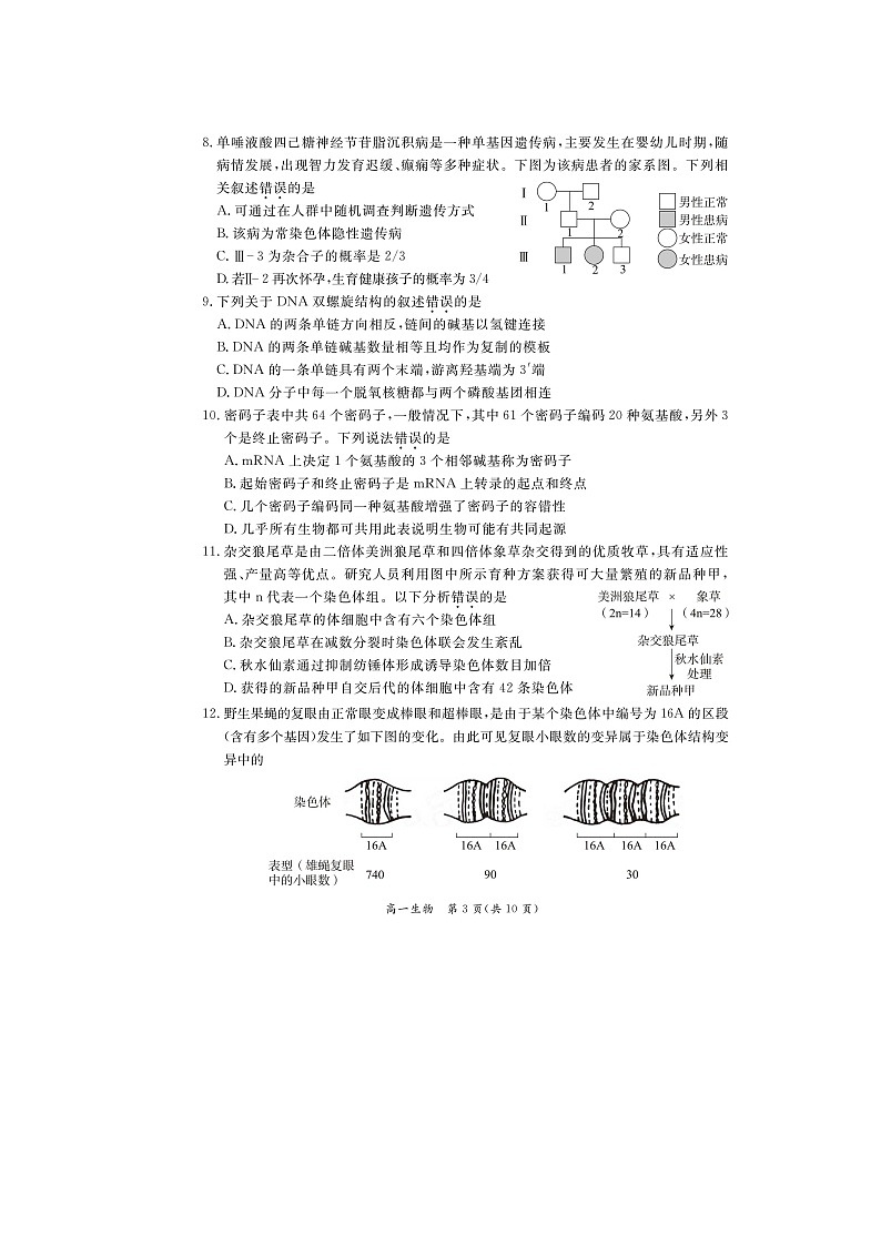 2023-2024学年北京东城区高一下学期期末生物试题及答案第3页