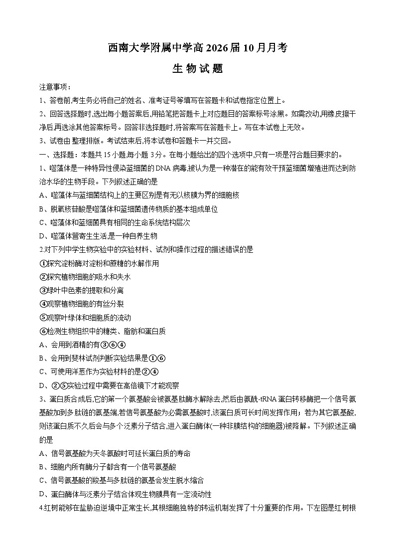 2026重庆市西南大学附中高三上学期10月月考试题生物无答案第1页