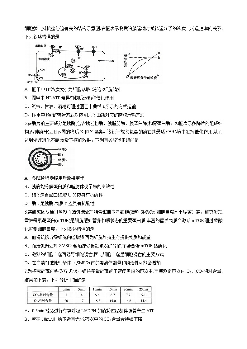 2026重庆市西南大学附中高三上学期10月月考试题生物无答案第2页