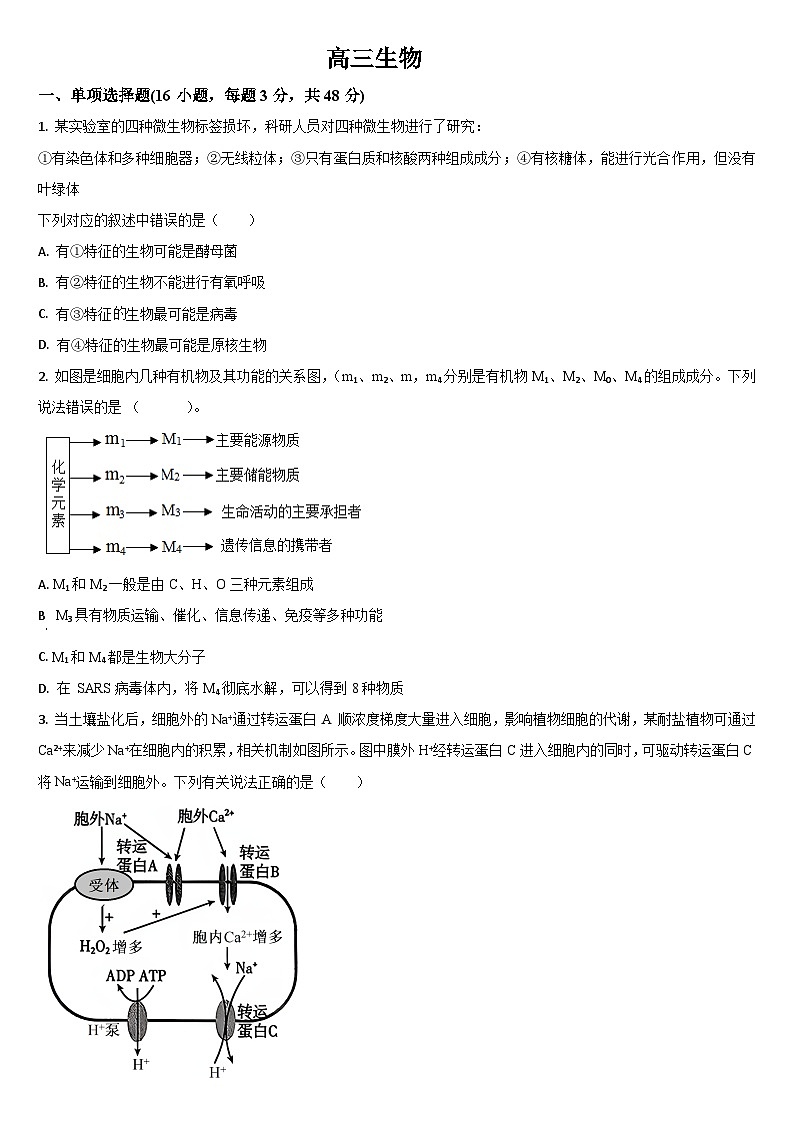 2026通化梅河口五中高三上学期9月月考试题生物含答案第1页