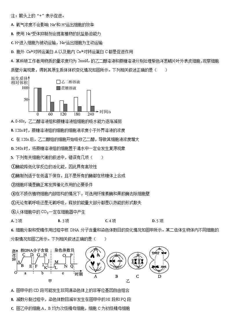 2026通化梅河口五中高三上学期9月月考试题生物含答案第2页