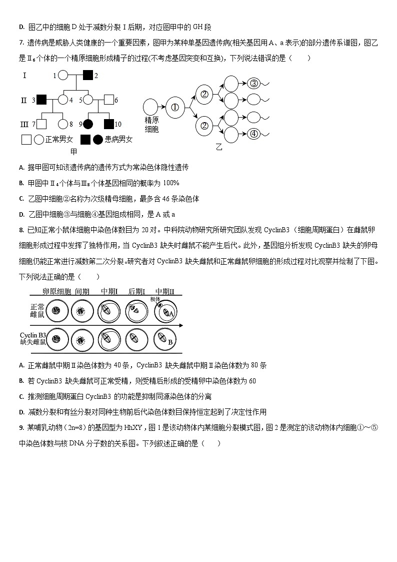2026通化梅河口五中高三上学期9月月考试题生物含答案第3页