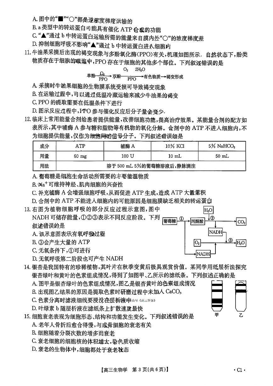2025年河南省第二次联考高三上学期10月生物试题及答案第3页