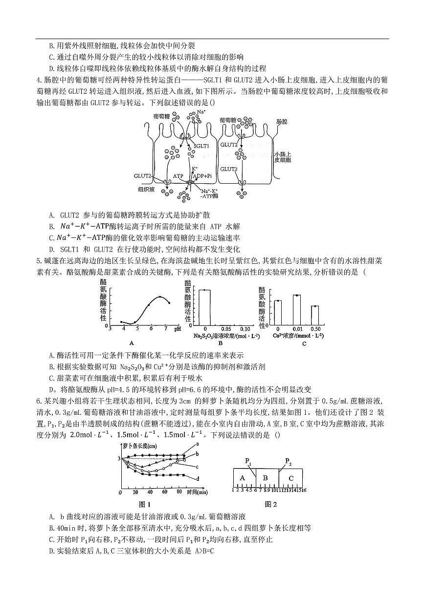生物-重庆育才中学、巴蜀中学、万州高级中学高2026届高三上学期10月联合考试试题及答案第2页