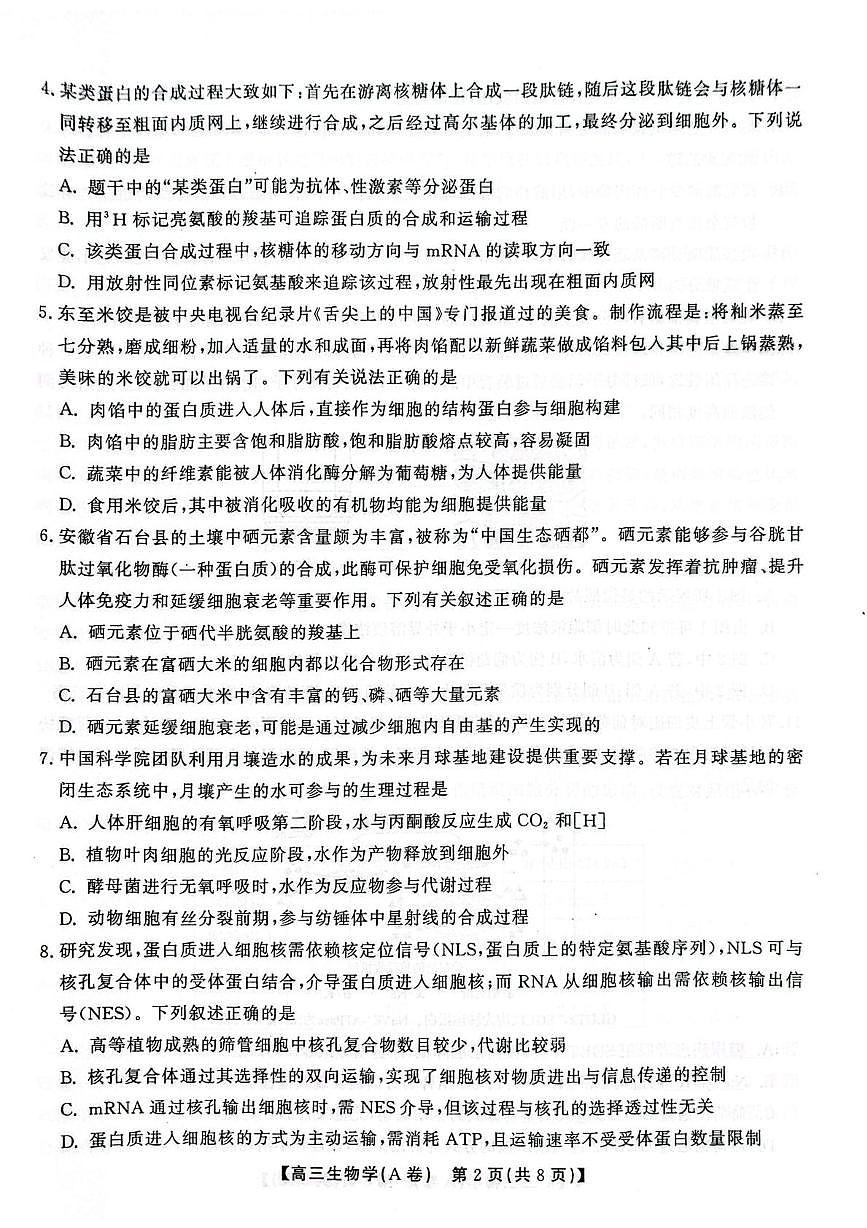 安徽省鼎尖名校大联考2025-2026学年高三上学期10月月考生物试题A第2页
