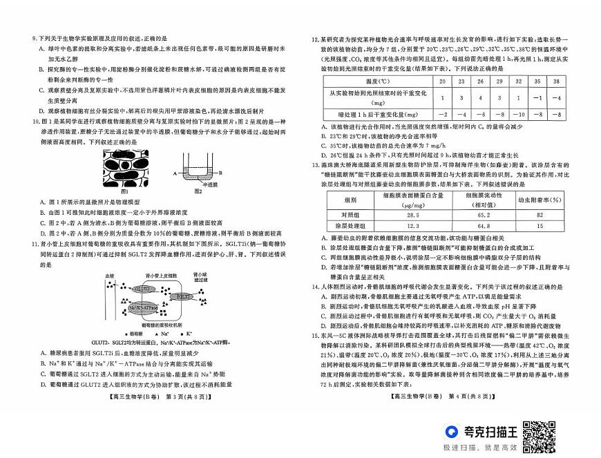 安徽省鼎尖名校大联考2025-2026学年高三上学期10月月考生物试题B第2页