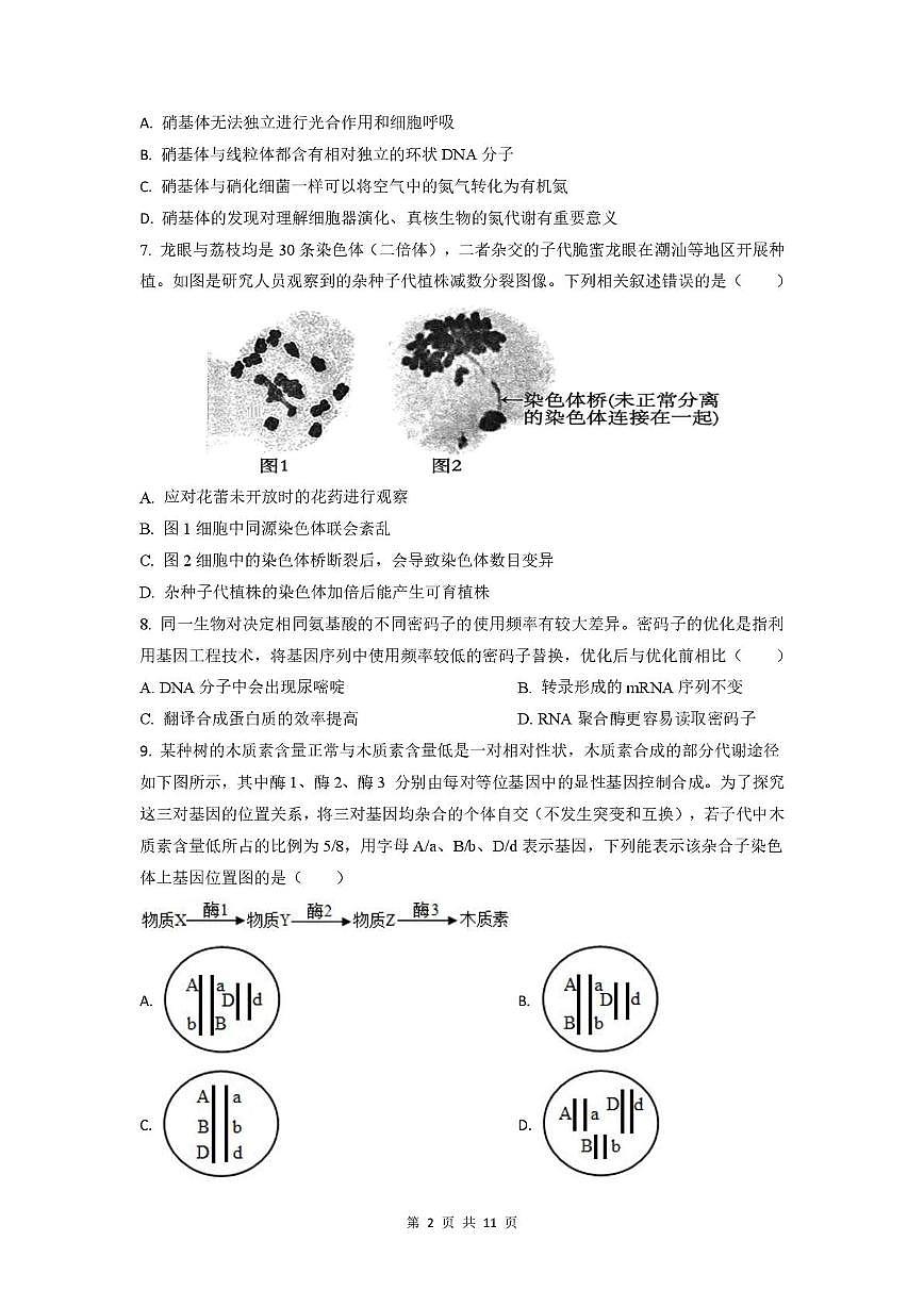 广东省揭阳市三校2025-2026学年高三上学期10月月考生物试题第2页