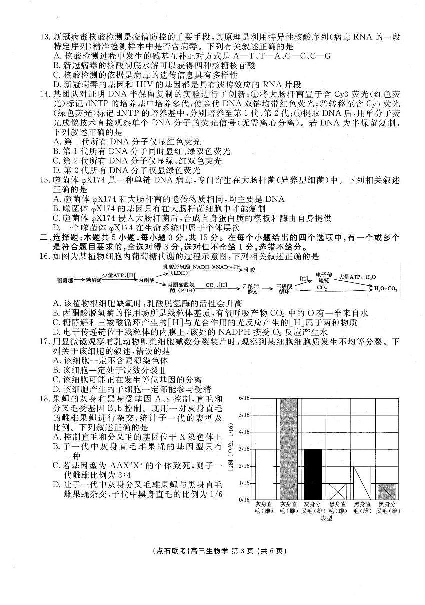 辽宁省普通高中点石联考2025-2026学年高三上学期10月月考生物试题第3页