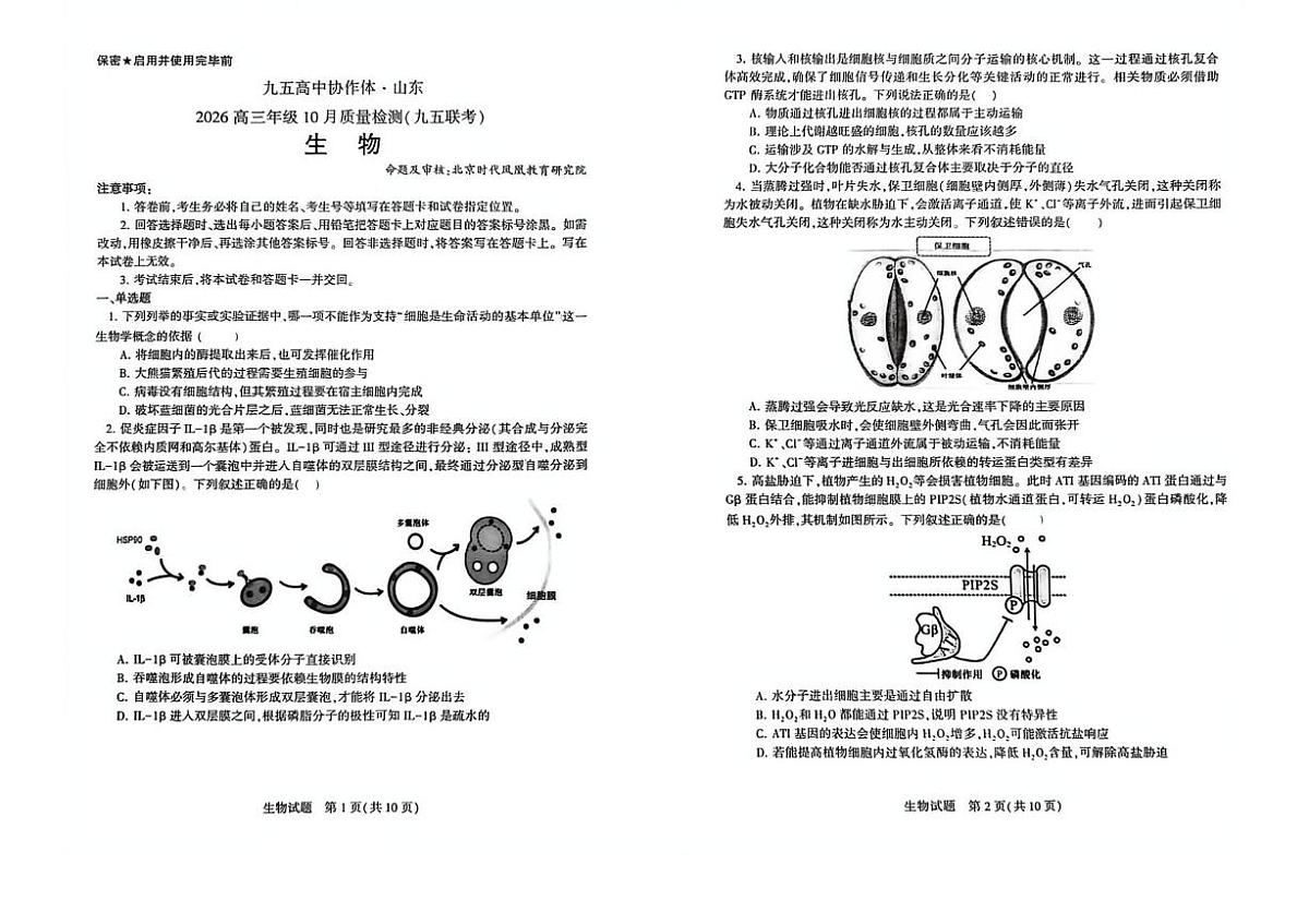 山东省九五高中协作体2025-2026学年高三上学期10月质量检测生物试题第1页
