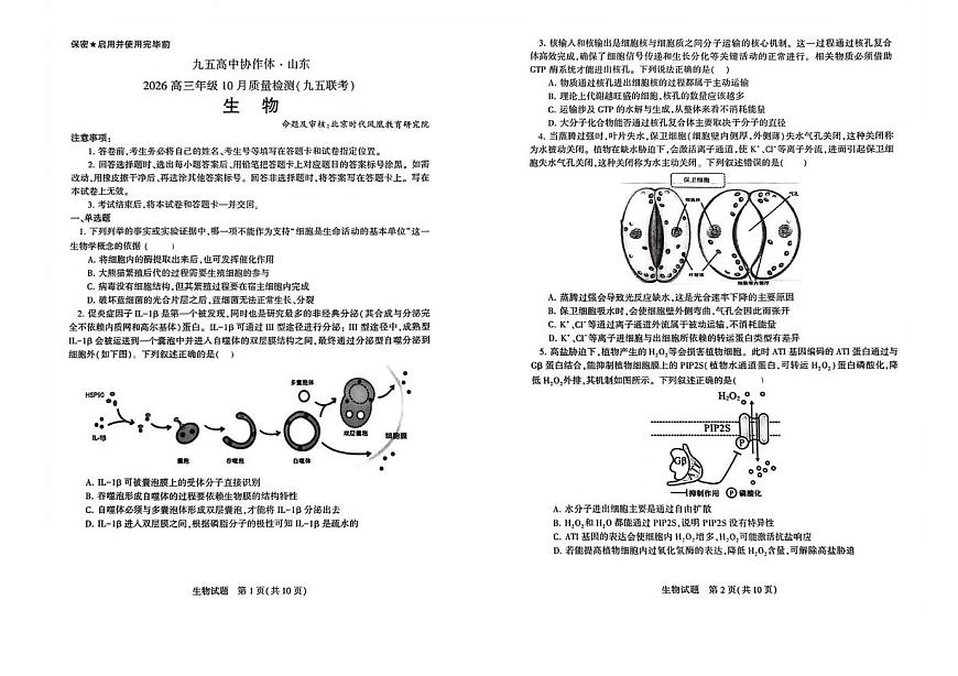 山东省九五高中协作体2025-2026学年高三上学期10月质量检测生物试题第1页