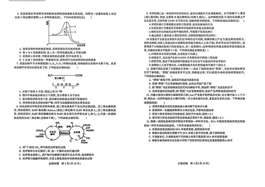 山东省九五高中协作体2025-2026学年高三上学期10月质量检测生物试题第2页