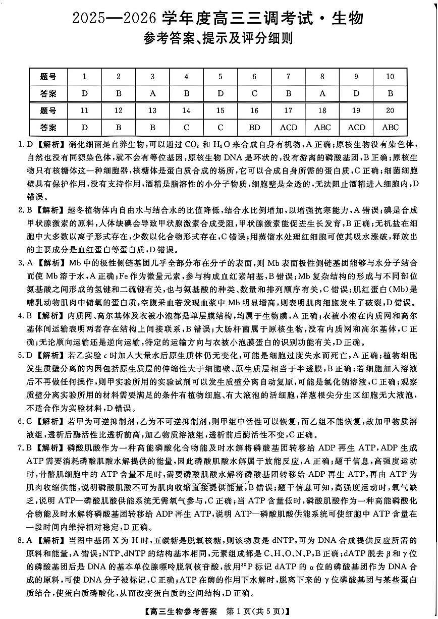 河北省衡水市2025-2026学年高三上学期第三次调研考试生物答案第1页