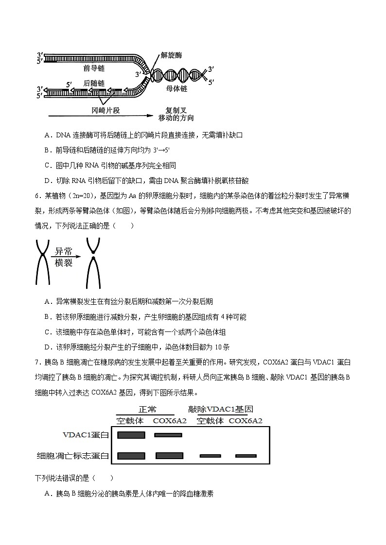 湖南省长沙市第一中学2025-2026学年高三上学期月考（二）生物试卷（Word版附答案）第2页