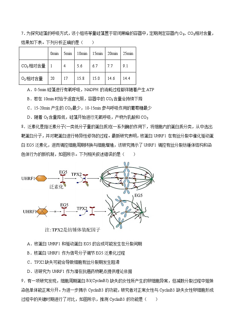 重庆市西南大学附属中学2025-2026学年高三上学期10月月考生物试卷（Word版附答案）第3页