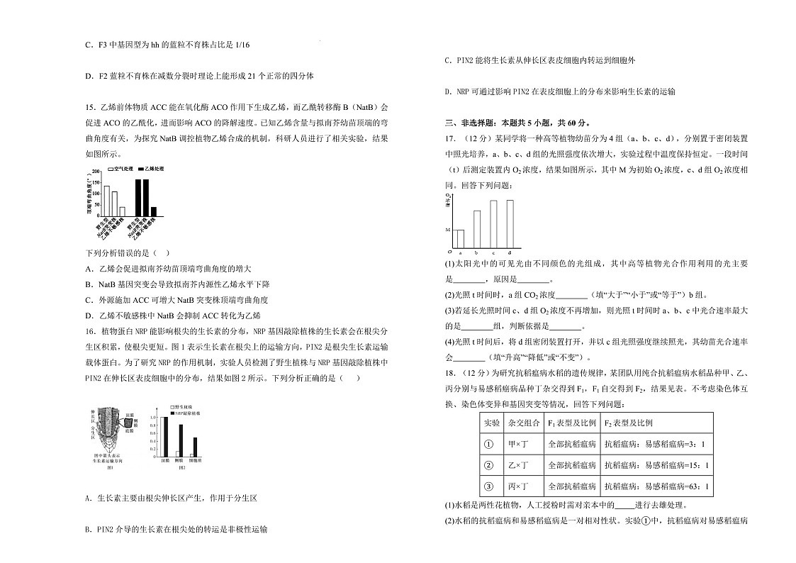 湖南省衡阳市衡阳县第四中学2025届高三上学期1月期末考试-生物试卷（含答案）第3页