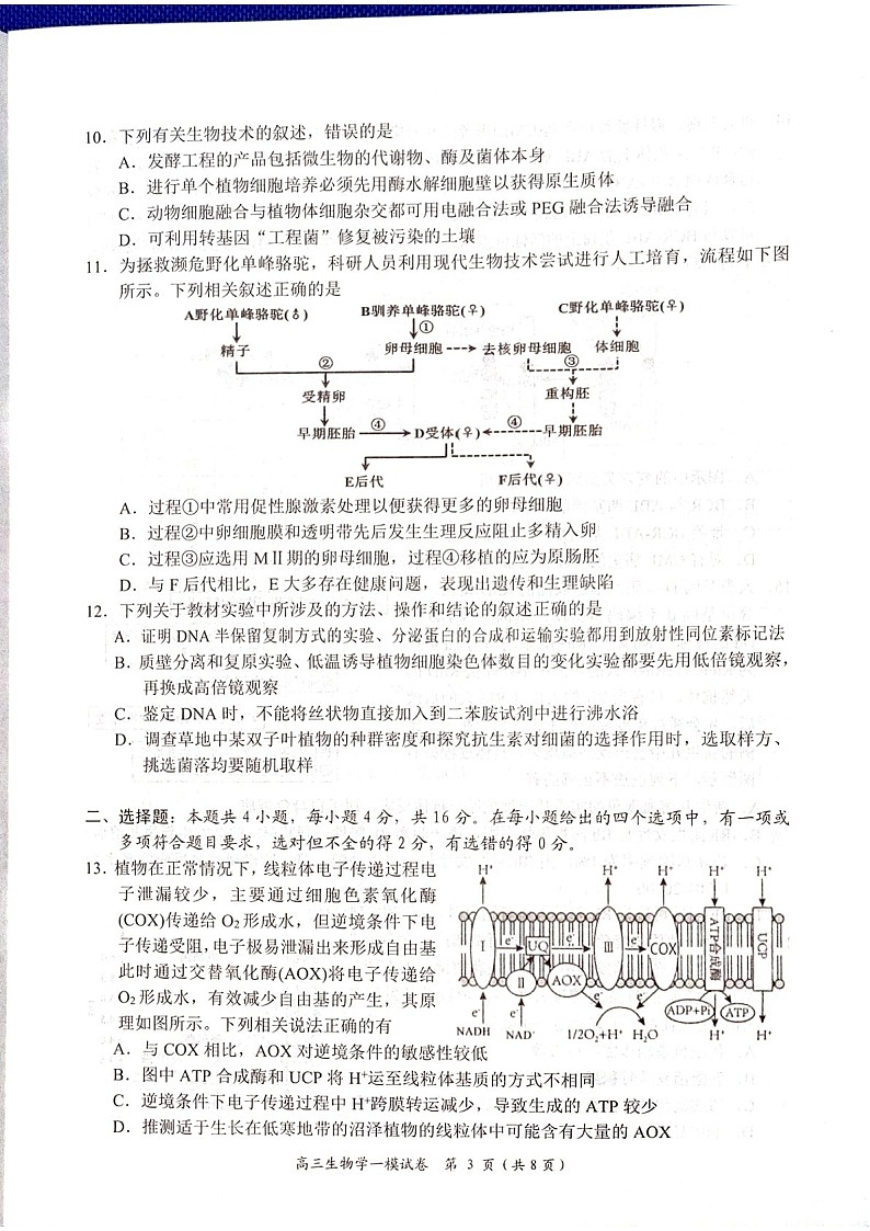 湖南省岳阳市2025届高三上学期教学质量监测（一）-生物试卷（含答案）第3页