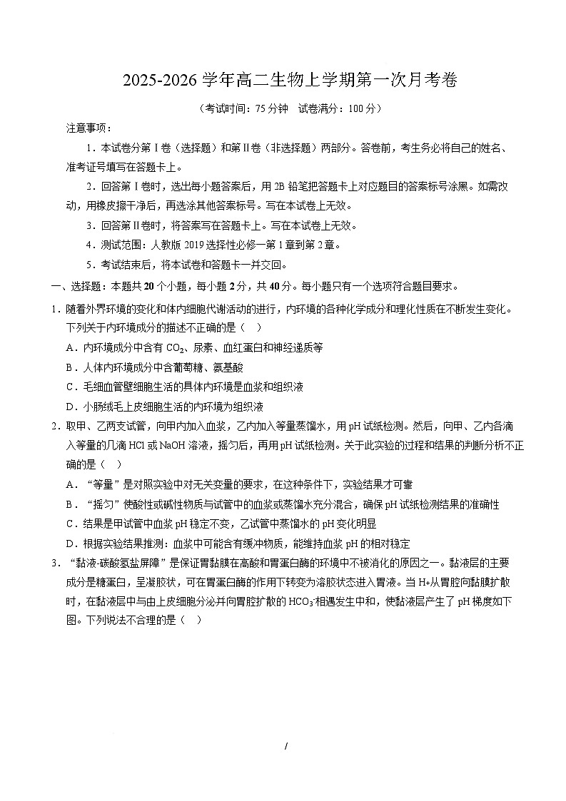 高二生物上学期第一次月考【测试范围：人教版2019选择性必修1第1章~第2章】（安徽专用）（考试版）第1页