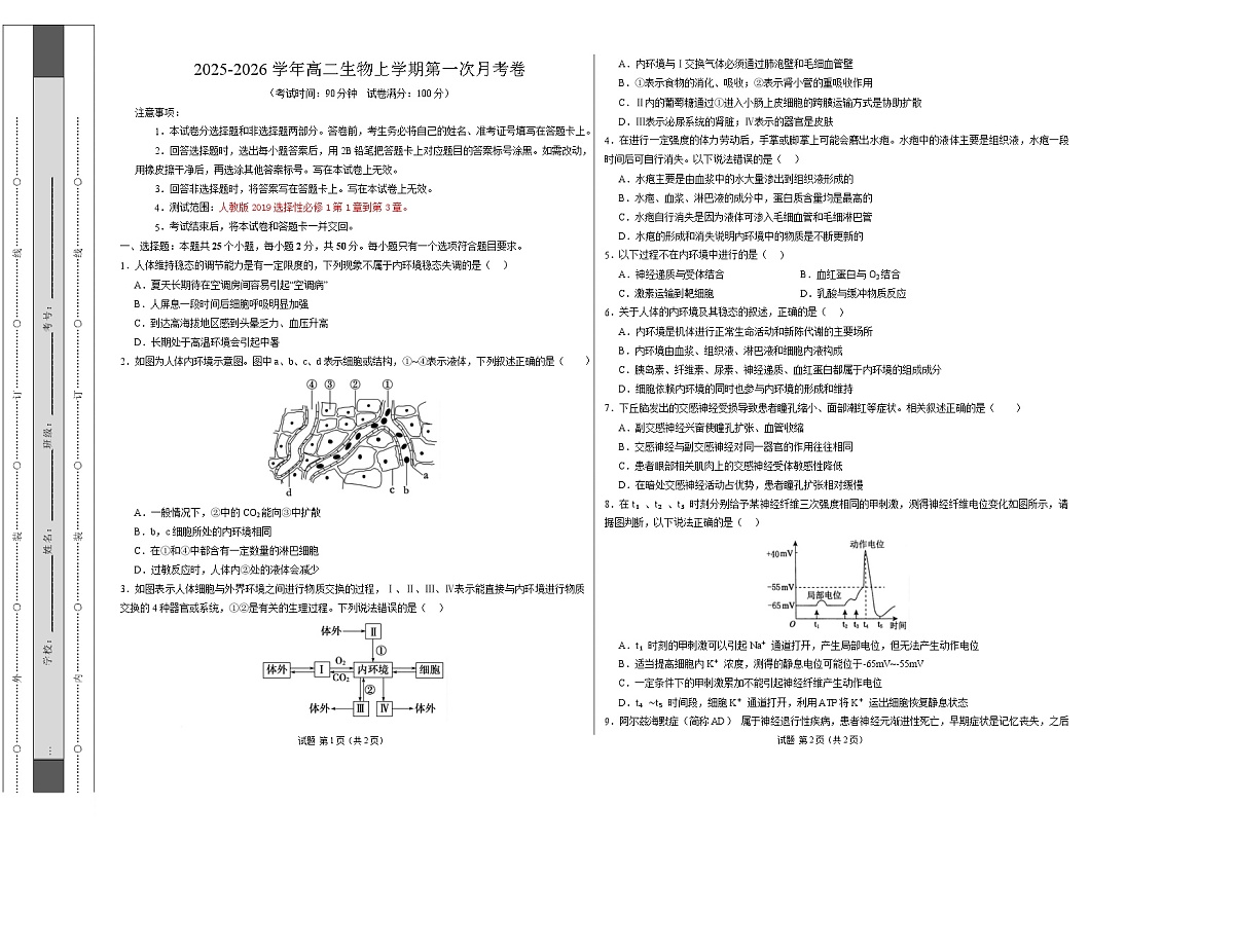 高二生物第一次月考卷【测试范围：人教版2019选择性必修1第1章~第3章】（考试版A3）第1页