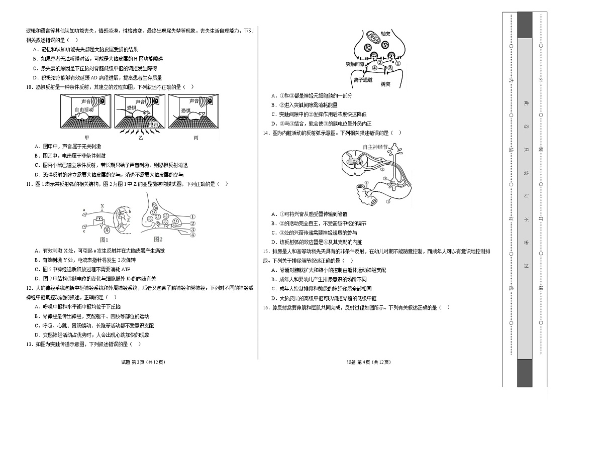 高二生物第一次月考卷【测试范围：人教版2019选择性必修1第1章~第3章】（考试版A3）第2页