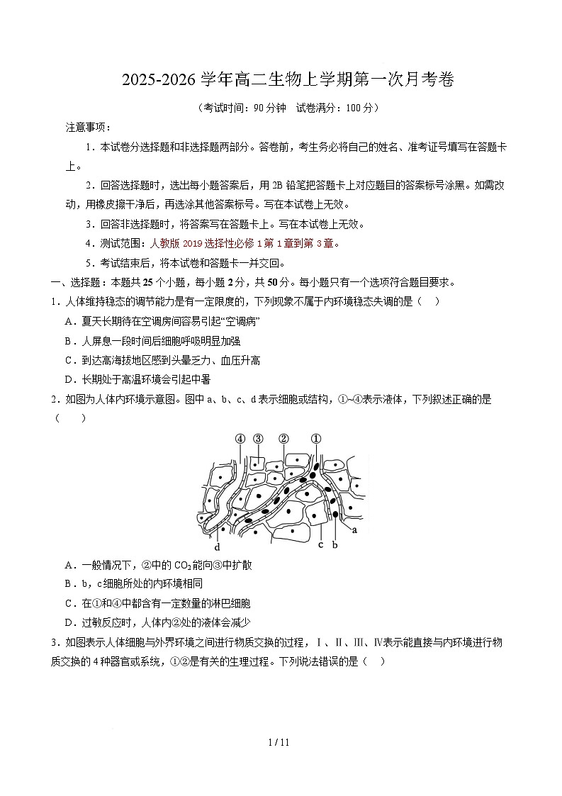 高二生物第一次月考卷【测试范围：人教版2019选择性必修1第1章~第3章】（考试版）第1页
