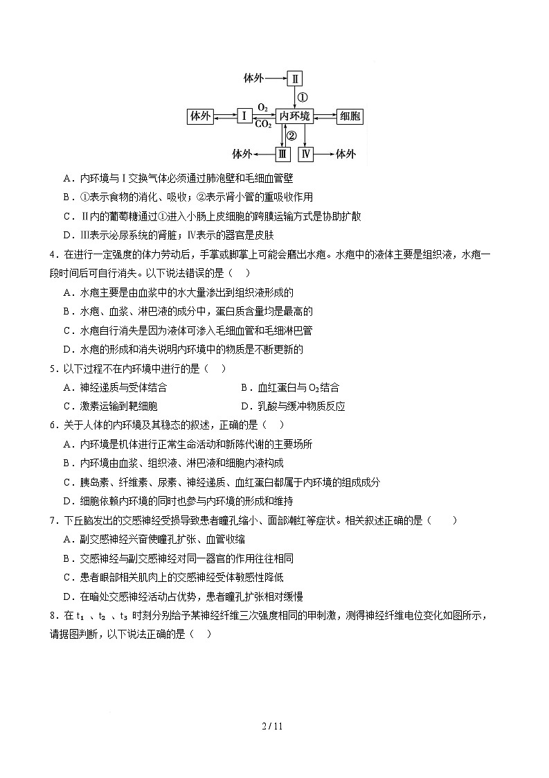 高二生物第一次月考卷【测试范围：人教版2019选择性必修1第1章~第3章】（考试版）第2页