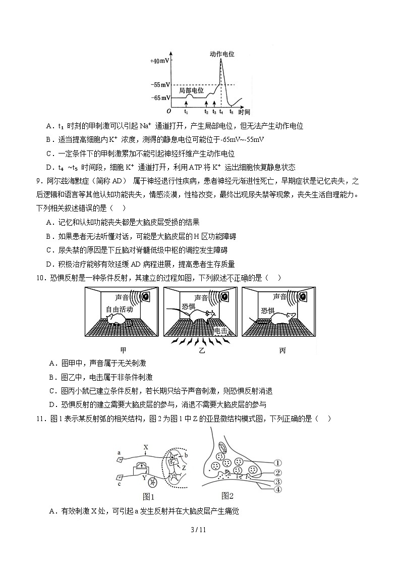 高二生物第一次月考卷【测试范围：人教版2019选择性必修1第1章~第3章】（考试版）第3页