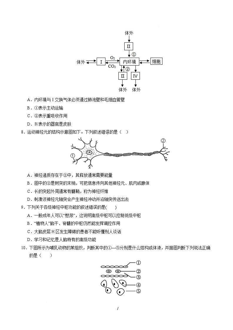 高二生物上学期第一次月考【测试范围：选择性必修1第1章~第2章】（考试版）（黑吉辽蒙专用）第3页