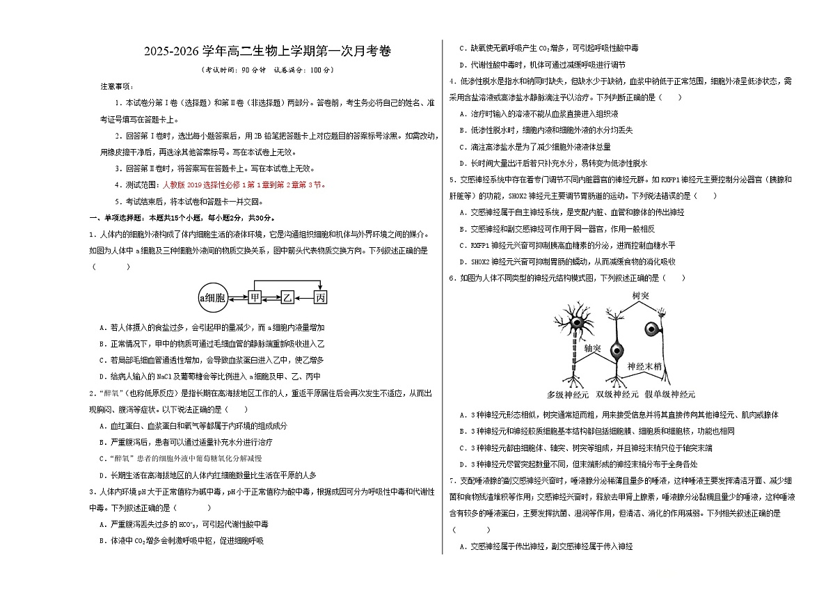高二生物第一次月考卷【测试范围：人教版2019选择性必修1第1章~第2章第3节】（考试版A3）第1页