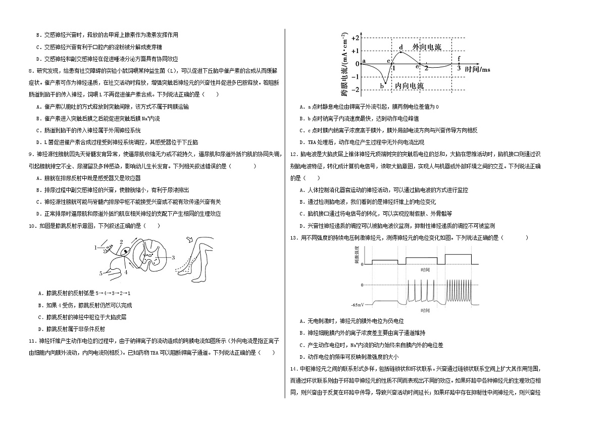 高二生物第一次月考卷【测试范围：人教版2019选择性必修1第1章~第2章第3节】（考试版A3）第2页