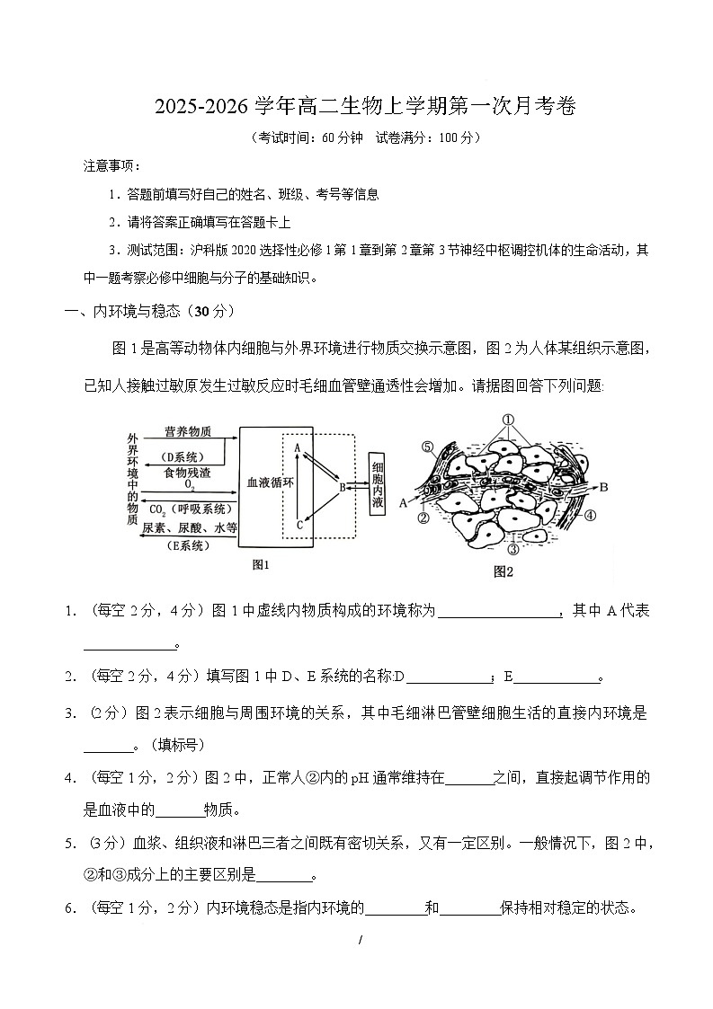 高二生物上学期第一次月考（上海专用）（考试版）第1页