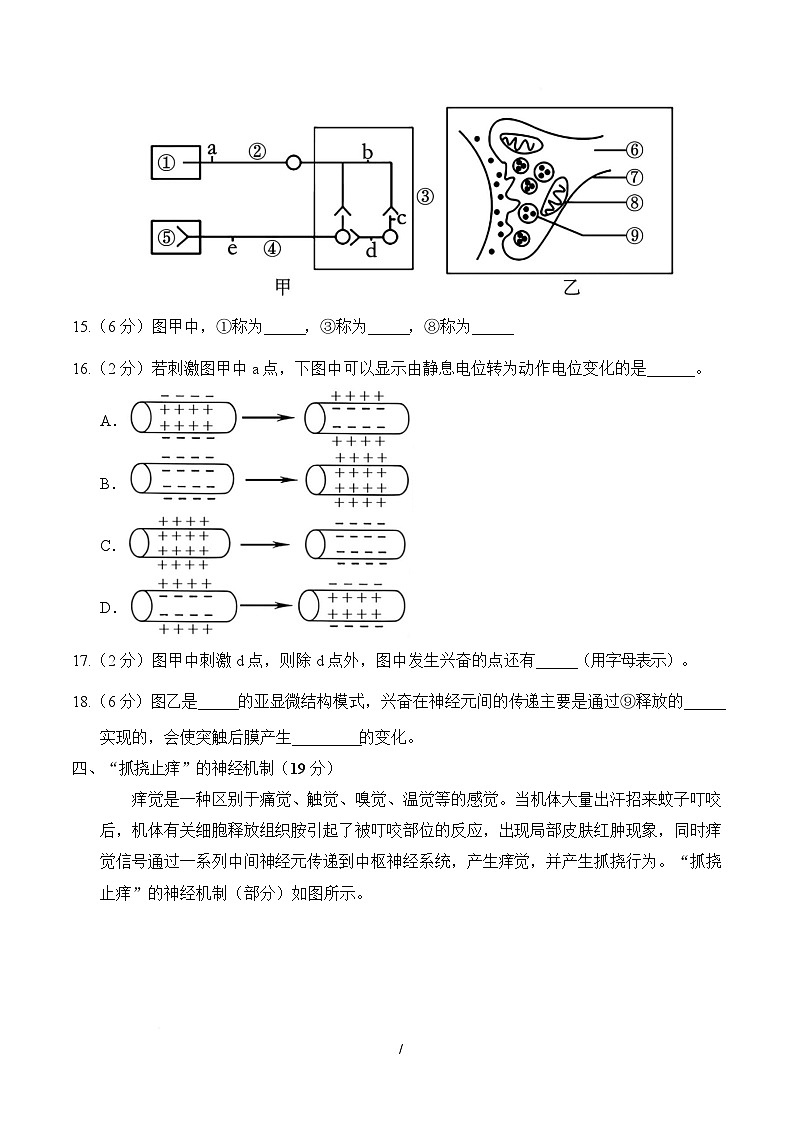 高二生物上学期第一次月考（上海专用）（考试版）第3页