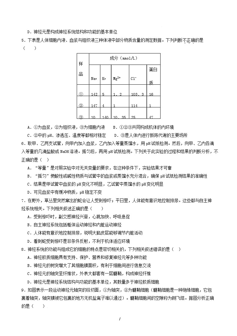 高二生物第一次月考卷单选版【测试范围：人教版2019选择性必修1第1章~第2章】（考试版）第2页