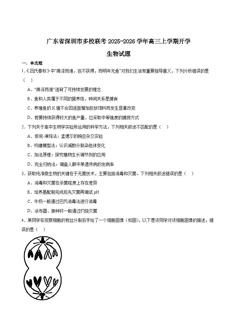 广东省深圳市多校联考2026届高三上学期开学质量检测生物试卷（Word版附答案）第1页