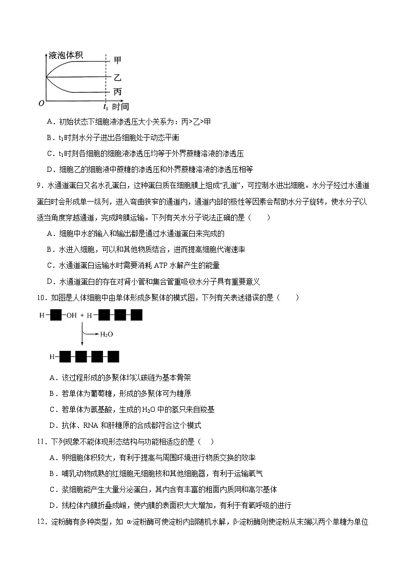 贵州省凯里市第一中学2026届高三上学期9月月考生物试卷（Word版附答案）第3页
