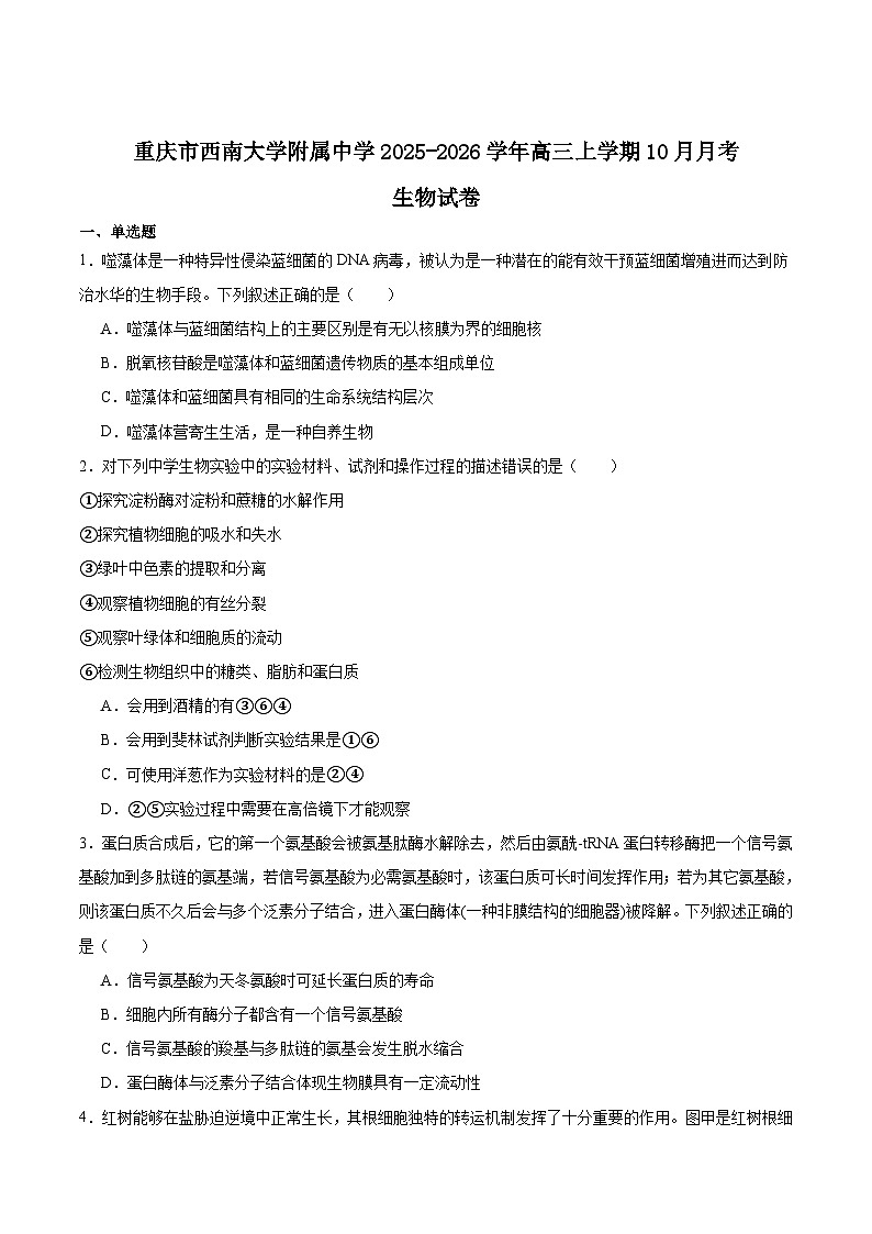 2026重庆市西南大学附中高三上学期10月月考试题生物含答案第1页